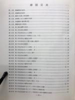 長野県佐久市市道遺跡