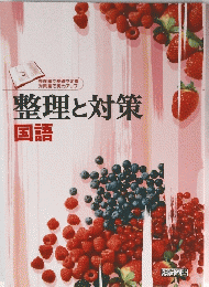 整理と対策