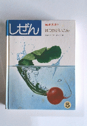 しぜん　5　はつかだいこん