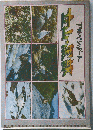 アルペンルート　立山　黒部