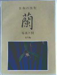 日本の自生　蘭　写真と図　第六集