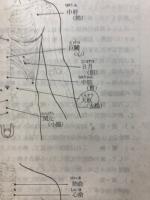 家庭で使える健康灸　中国温灸療法の手引