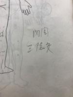 家庭で使える健康灸　中国温灸療法の手引