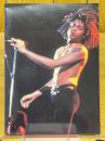 テレンストレントダービー　Terence Trent D'Arby