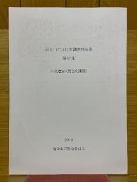 福知山市文化財調査報告書　第67集　川北遺跡(第2次調査)