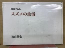 写真でみるスズメの生活 