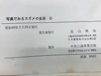 写真でみるスズメの生活 