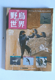 野鳥の世界　120
