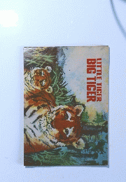 BIG TIGER LITTLE TIGER
