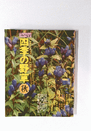 四季の野草　秋