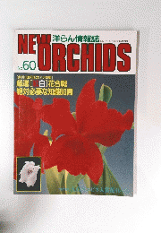 NEW　ORCHIDS　No.60