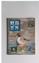 野鳥の世界　109