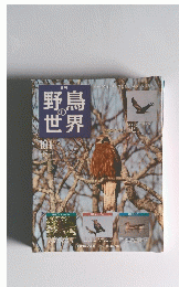 野鳥の世界　12/2/7　No.101