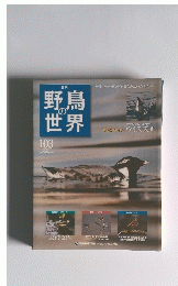 野鳥の世界　No.103