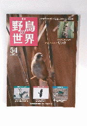 野鳥の世界　54