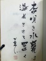 定本加藤かけい俳句集