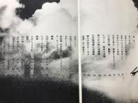 素晴らしきヒコーキ野郎