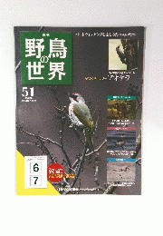 野鳥の世界　51