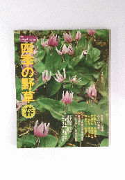 四季の野草　春
