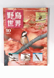 野鳥の世界　90 11/11/22