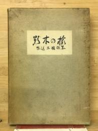 楡の木影