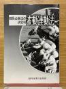 波動連動法　競馬必勝法の決定判