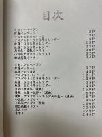 原画集　ZONE