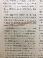 αβ