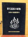 葦毛湿原の植物　四季の観察案内