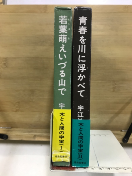 パスカル(ジャック・シュヴァリエ 著 ; 松浪信三郎, 安井源治 共