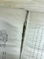 世界の詩人