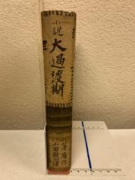 大過渡期 : 小説