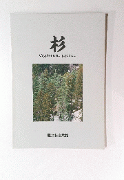 杉