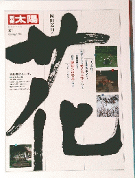 太陽　日本のこころ　1993年春号　
