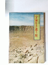 宇宙をさ迷う星