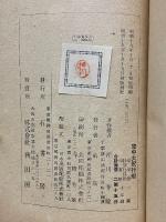 空中大飛行艇