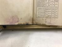 家康時代