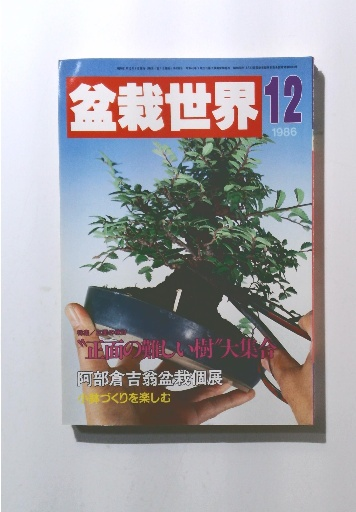 東三河の戦国時代(横尾義貫 著) / 古本倶楽部株式会社 / 古本