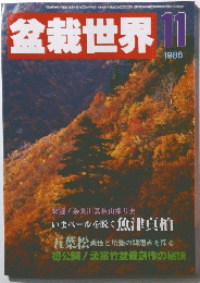 盆栽世界　1986年11月号