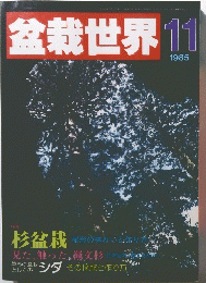 盆栽世界　1985年11月号