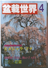 盆栽世界　昭和61年4月1日発行