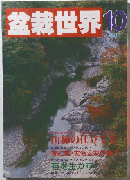盆栽世界　1985年10月号