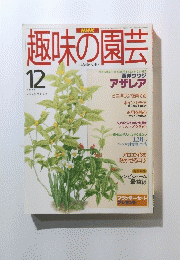 趣味の園芸 １９９５年１２月号