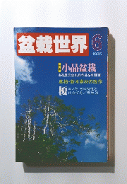 盆栽世界　1986年6月号