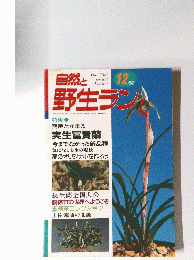 自然と野生ラン　12月号
