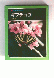 科学のアルバム　ギフチョウ