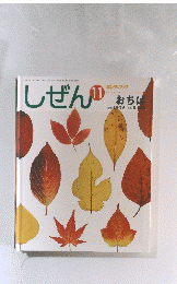 しぜん　11　おちば