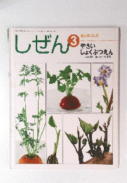 しぜん　3　やさいしょくぶつえん