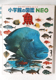 小学館の図鑑NEO　魚
