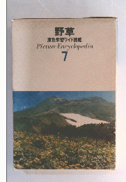 野草　原色学習ワイド図鑑　Picture　Encyclopedia　7